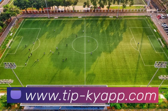 App Interface Preview