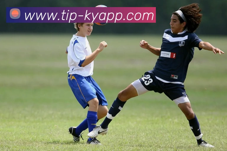 开云体育APP 封面图